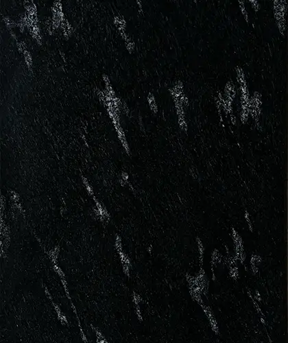 Fish Black
